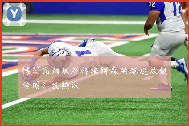 博茨瓦纳政府辟谣阿森纳球迷放假传闻引发热议